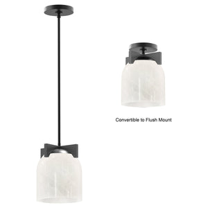 Scoop 1-Light Pendant/Flush Mount