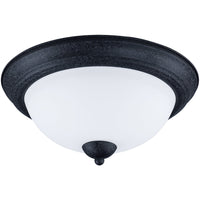 Taylor 2-Light Flush Mount