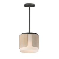 Draughtsman 10" Semi Flush Mount/Pendant