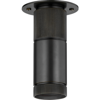 Dighton 1-Light Flush Mount