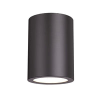 Harley 1-Light Flush Mount