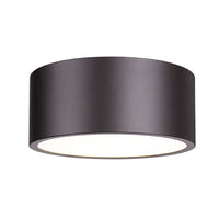 Harley 2-Light Flush Mount
