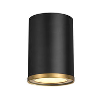 Arlo 1-Light Flush Mount