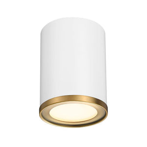 Arlo 1-Light Flush Mount