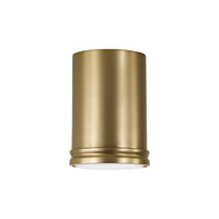 Griffin 1-Light 5.5" Flush Mount