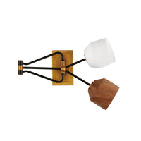 Akimbo 2-Light Swing Arm Wall Sconce
