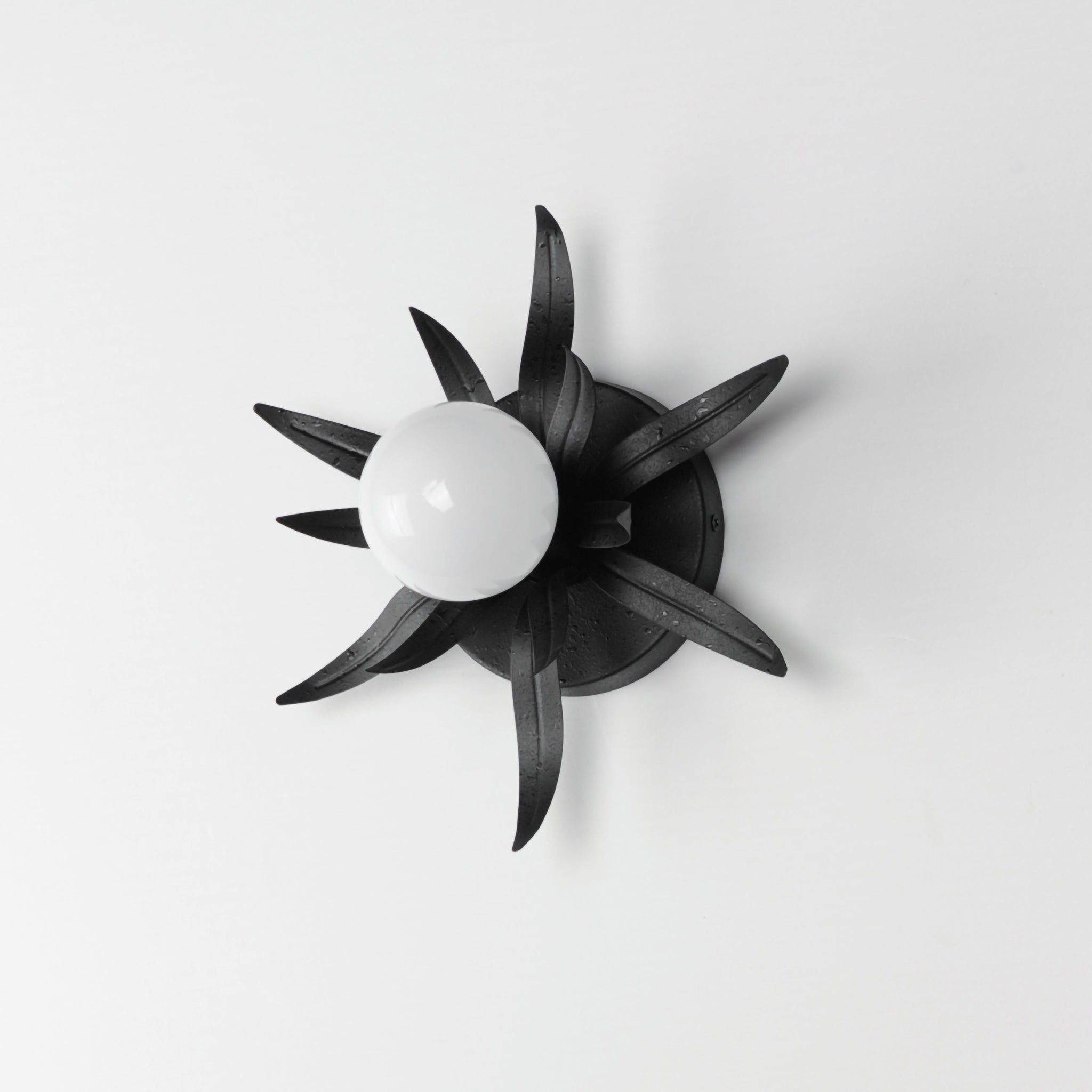 Paloma 1-Light Sconce