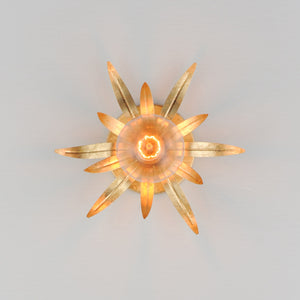 Paloma 1-Light Sconce