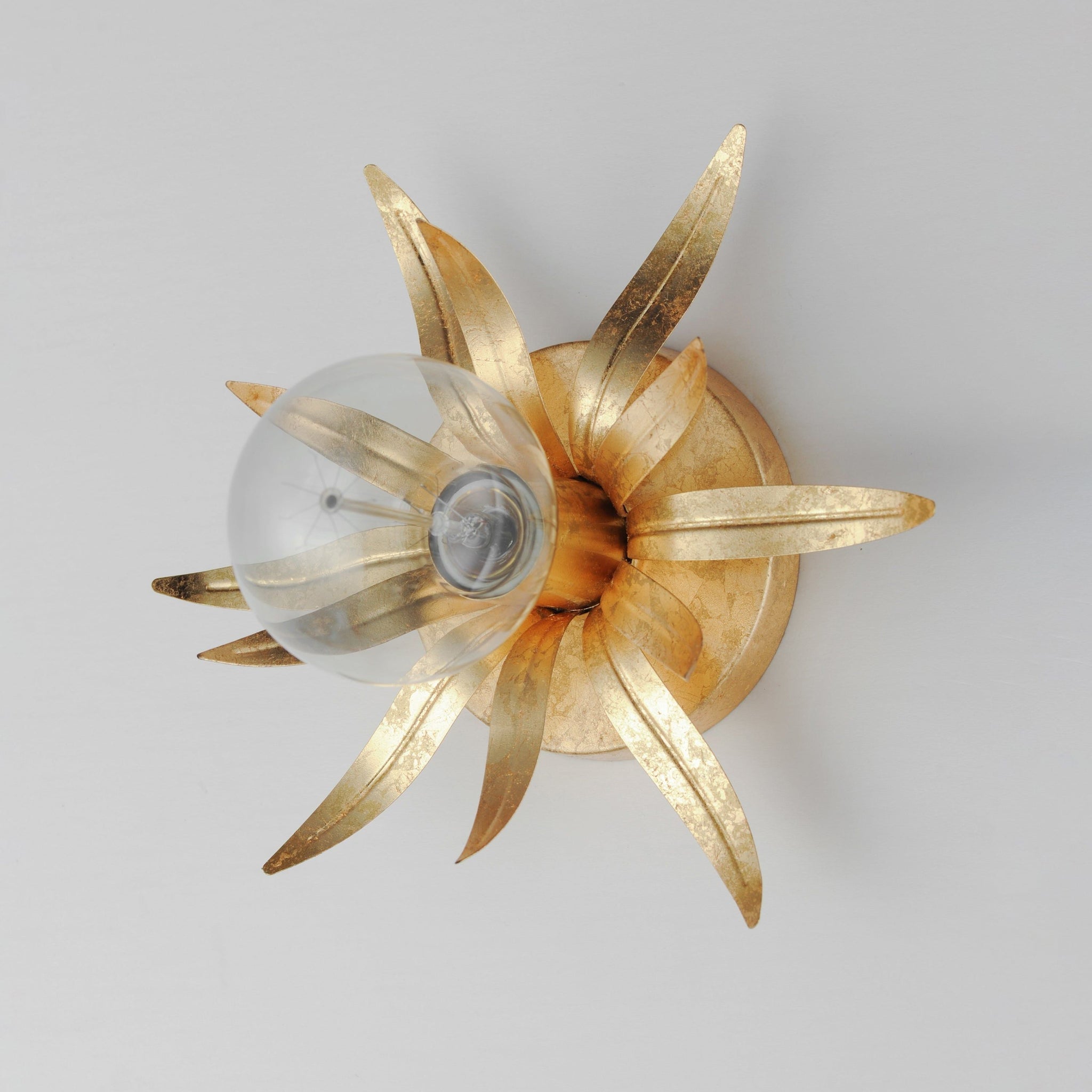 Paloma 1-Light Sconce