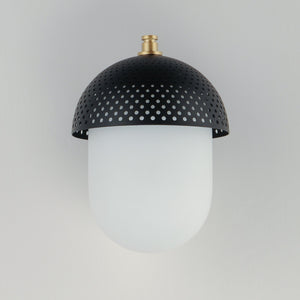 Perf 1-Light Outdoor Wall Sconce
