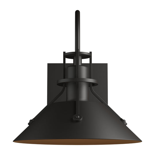 Henry Small Dark Sky Outdoor Sconce