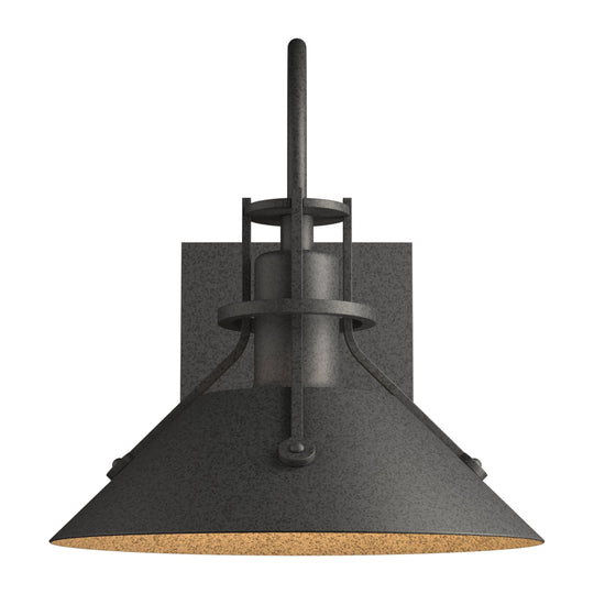 Henry Small Dark Sky Outdoor Sconce