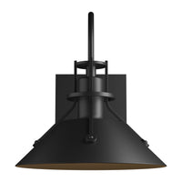 Henry Small Dark Sky Outdoor Sconce