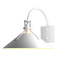 Henry Large Dark Sky Outdoor Sconce