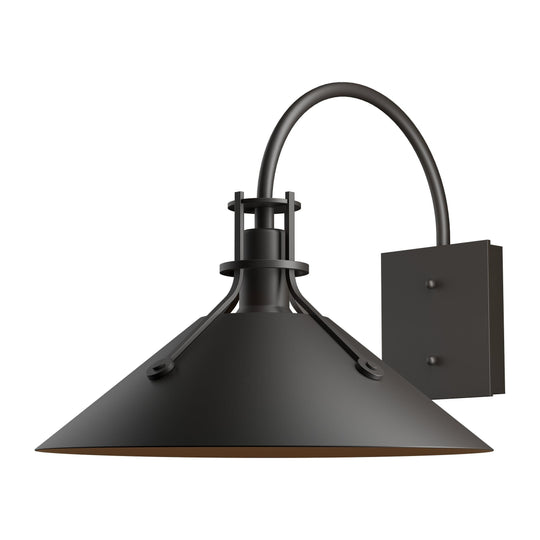 Henry Large Dark Sky Outdoor Sconce