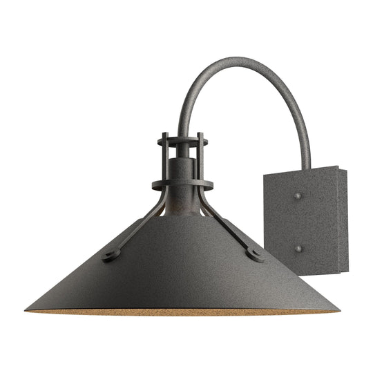 Henry Large Dark Sky Outdoor Sconce