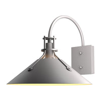 Henry Large Dark Sky Outdoor Sconce