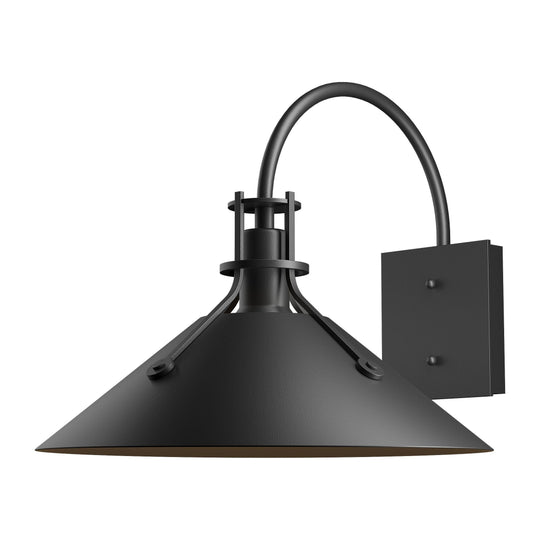 Henry Large Dark Sky Outdoor Sconce