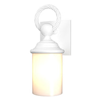 Cavo Outdoor Wall Sconce