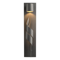 Flux Dark Sky Outdoor Sconce