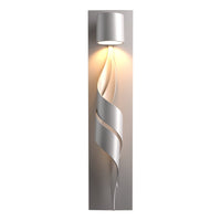 Flux Dark Sky Outdoor Sconce