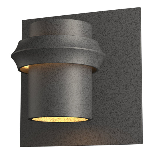Twilight Small Dark Sky Outdoor Sconce