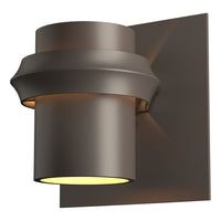 Twilight Dark Sky Outdoor Sconce