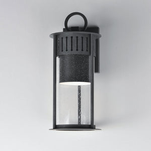 Windsor 1-Light Outdoor Wall Sconce