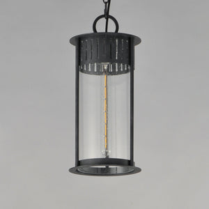 Windsor 1-Light Outdoor Pendant