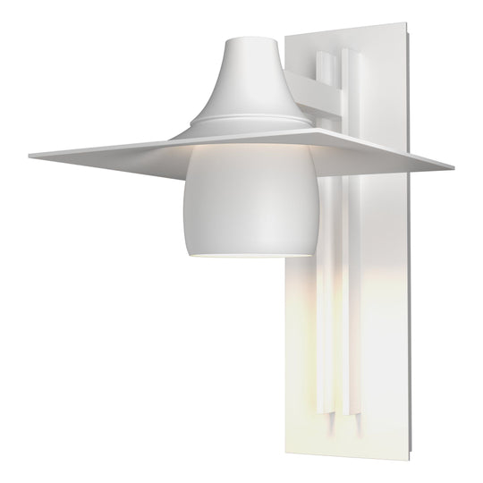 Hood Large Dark Sky Outdoor Sconce