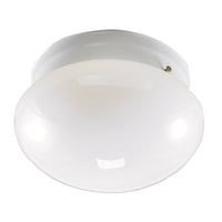 Mario 1-Light Flush Mount