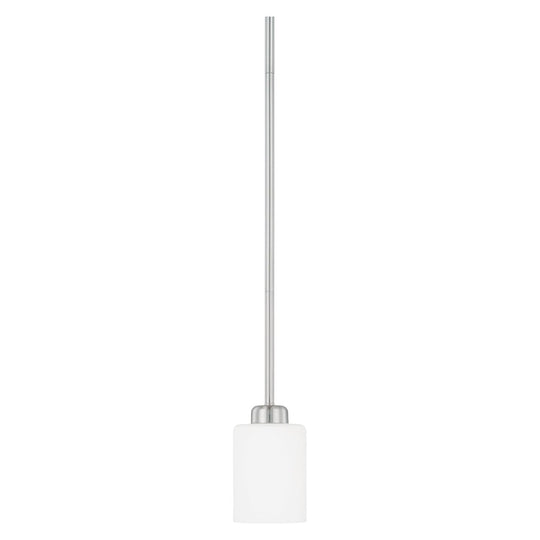 Dixon 1-Light Pendant
