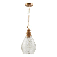 Juniper 1-Light Pendant