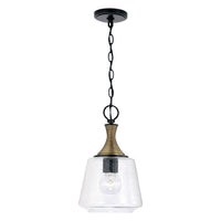 Amara 1-Light Pendant