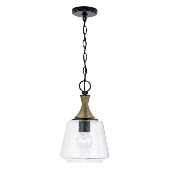 Amara 1-Light Pendant