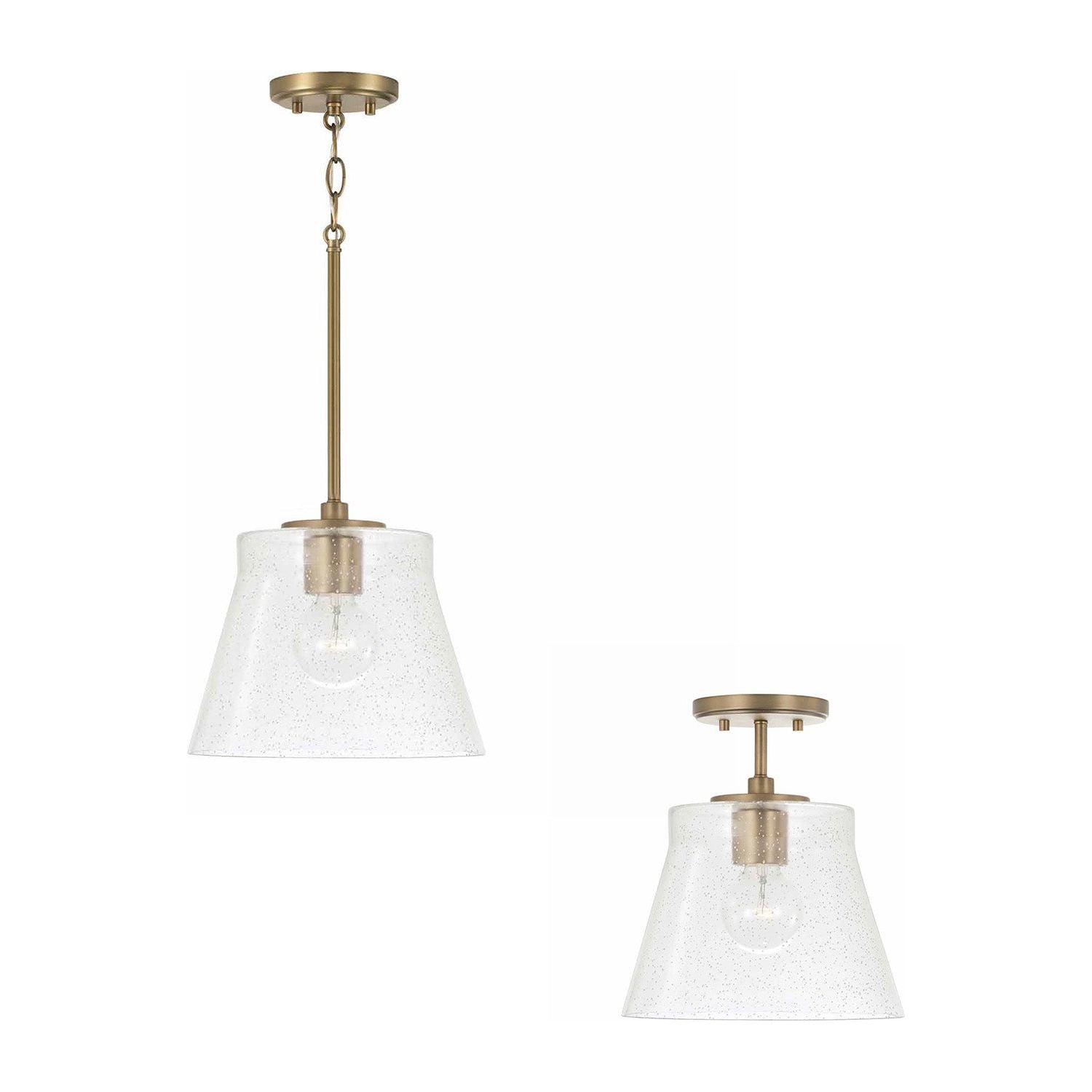 Baker 1-Light Convertible Pendant