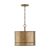 Nole 1-Light Pendant