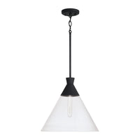 Paloma 1-Light Pendant