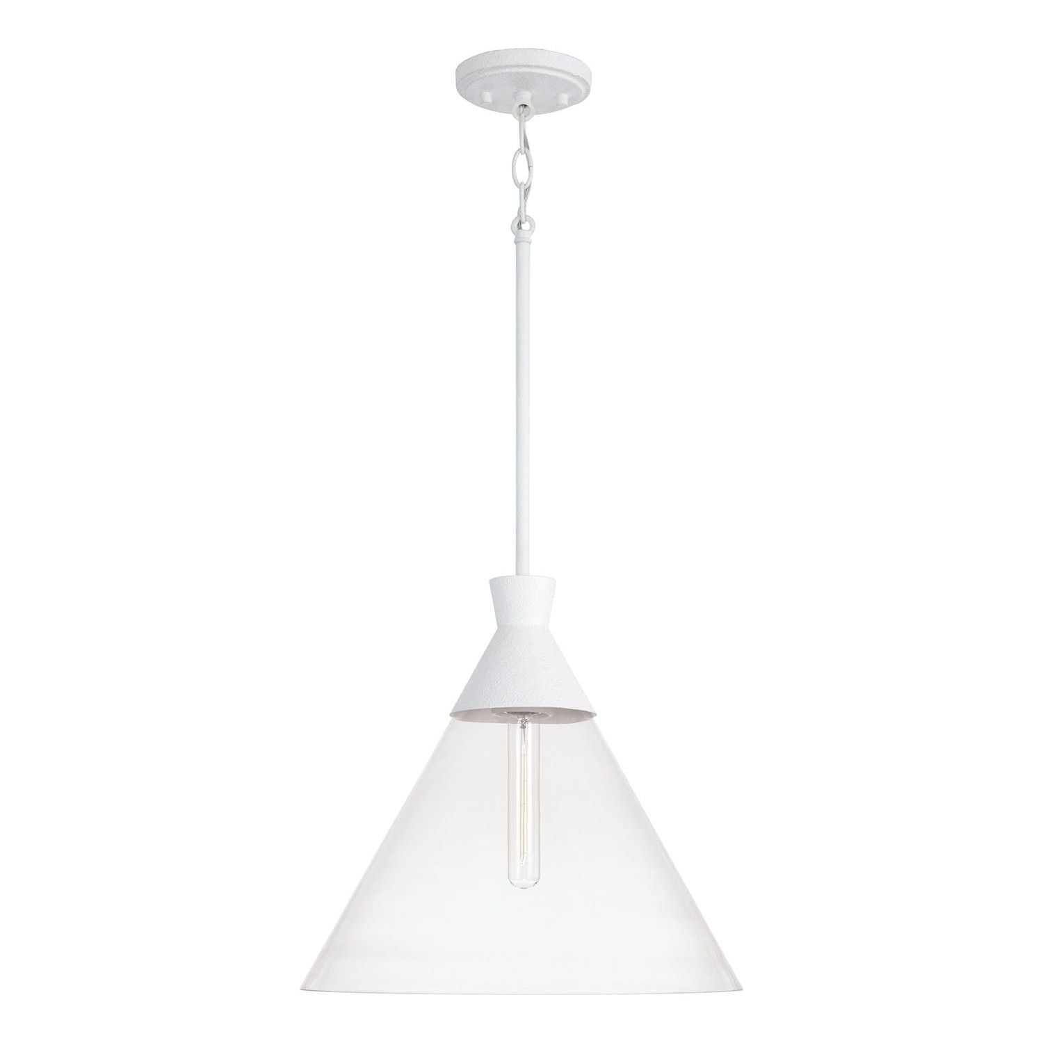 Paloma 1-Light Pendant