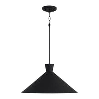 Paloma 1-Light Pendant