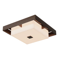 Shadow Box Small Outdoor Flush Mount