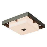 Shadow Box Small Outdoor Flush Mount