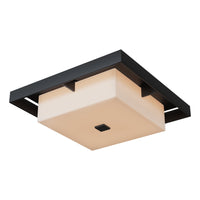 Shadow Box Large Outdoor Flush Mount
