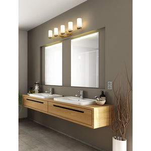 Danica 5-Light Vanity