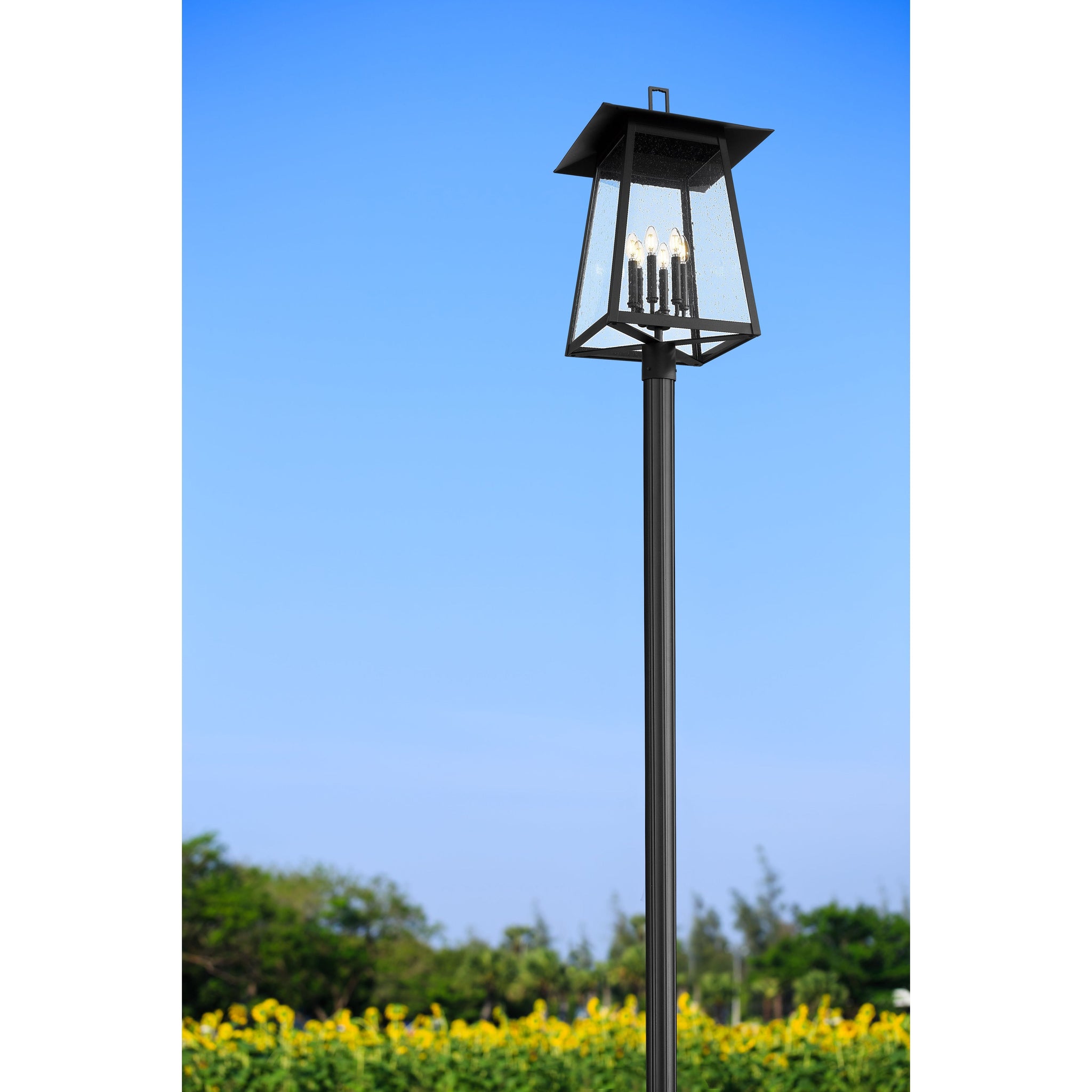 Rainer 6-Light Outdoor Post Mounted Fixture