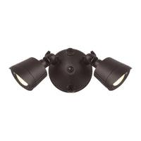 LED Double Flood Light