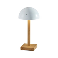 Nash LED Cordless Table Lamp
