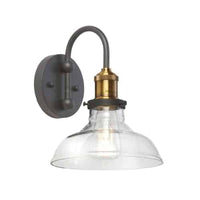 1-Light Wall Sconce