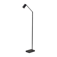 Colby LED Floor Lamp