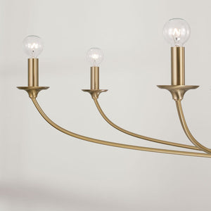 Dolan 8-Light Chandelier